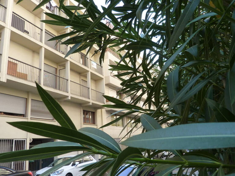 Appartement Toulon 1 pièce(s) 23 m2 — photo 1