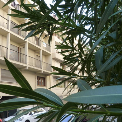 Appartement 1 pièces 79000 €