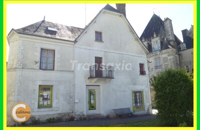 vente maison 50 000 € à proximité de Tournon-Saint-Martin (36220)