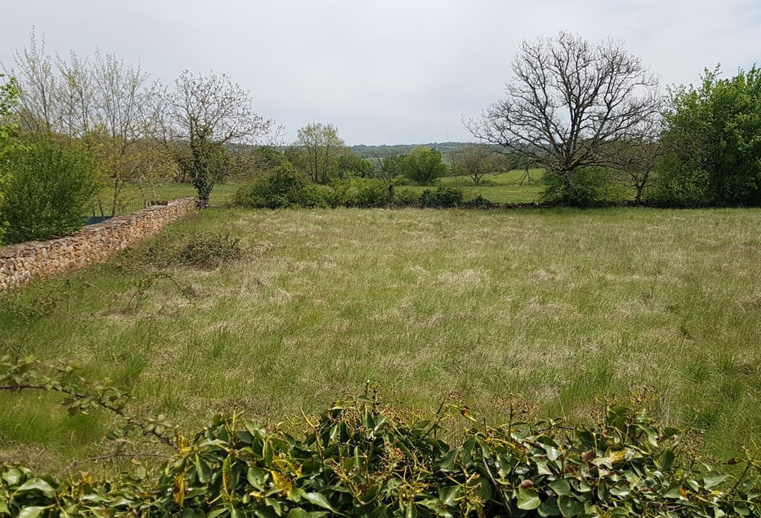Terrain 0 m² — photo 1