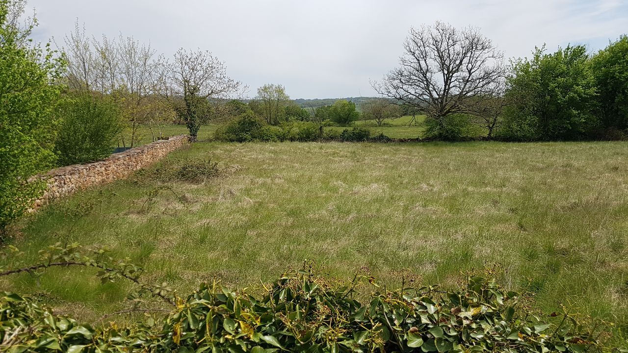 terrain  pièces  m2 à vendre à Caylus (82160)