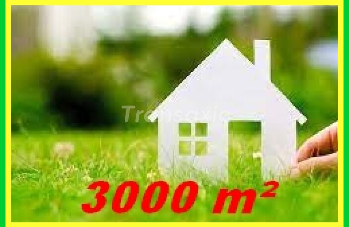 Terrain à bâtir 3000m² — photo 2