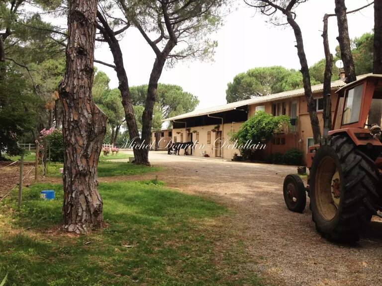 Entre Nimes et Beaucaire, Propriete Equestre sur 23 hectares — photo 1