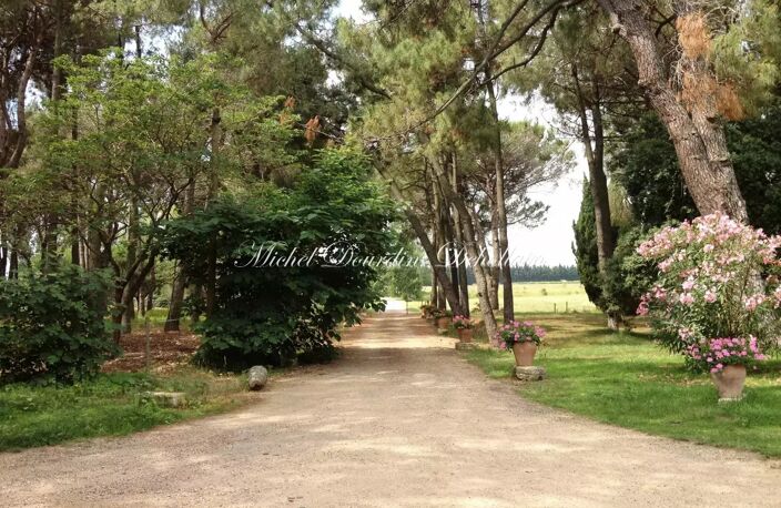 Entre Nimes et Beaucaire, Propriete Equestre sur 23 hectares — photo 2