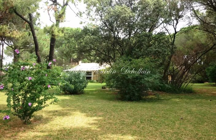 Entre Nimes et Beaucaire, Propriete Equestre sur 23 hectares — photo 4