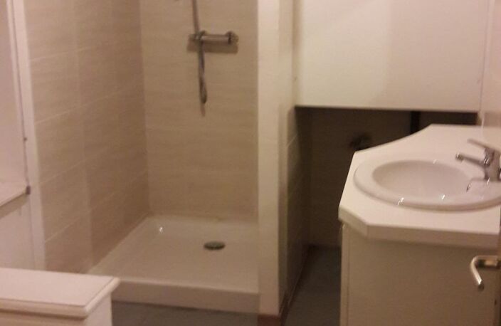 Vente immeuble  210 m² Saint-Symphorien-de-Lay (42470) — photo 4