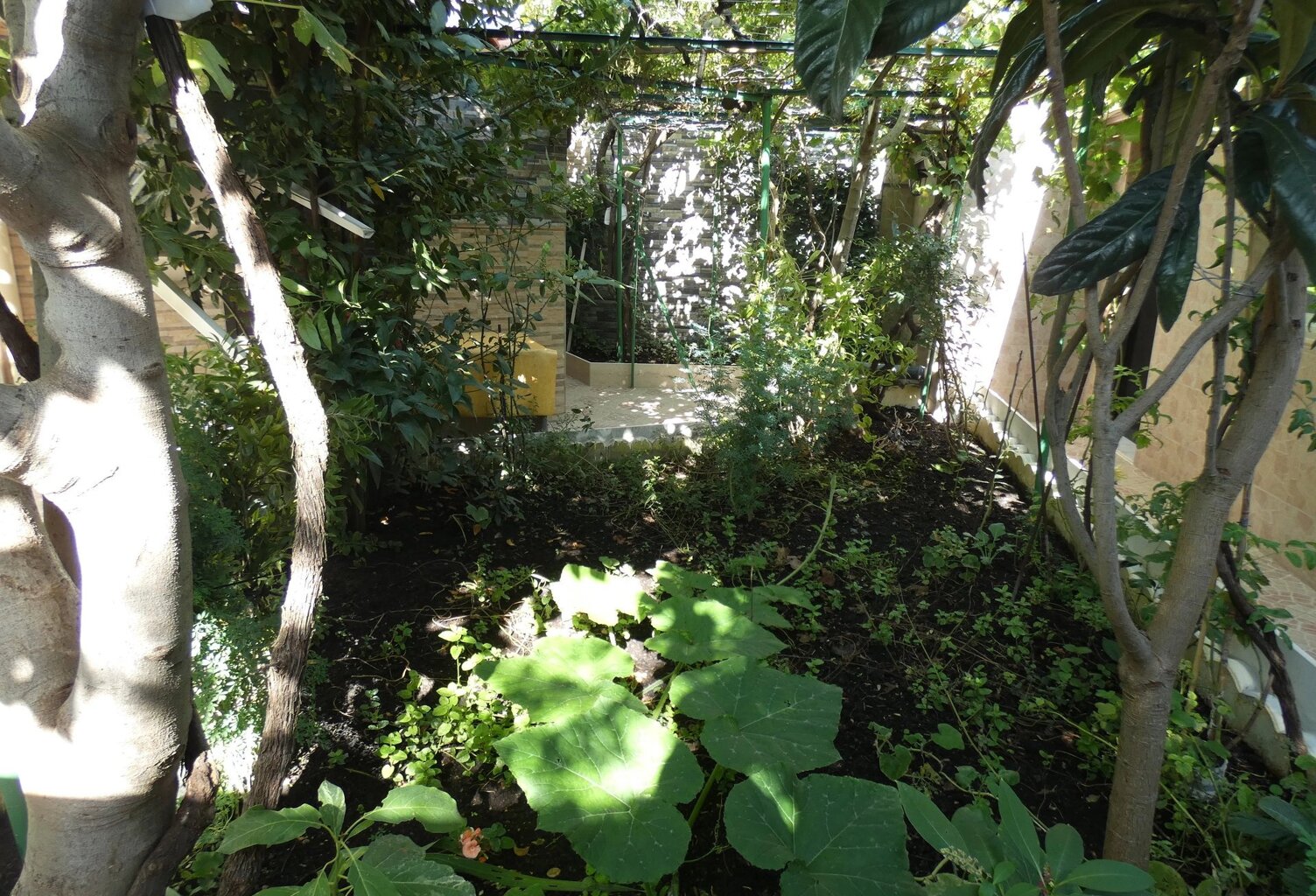 Toulouse / La Faourette — photo 1