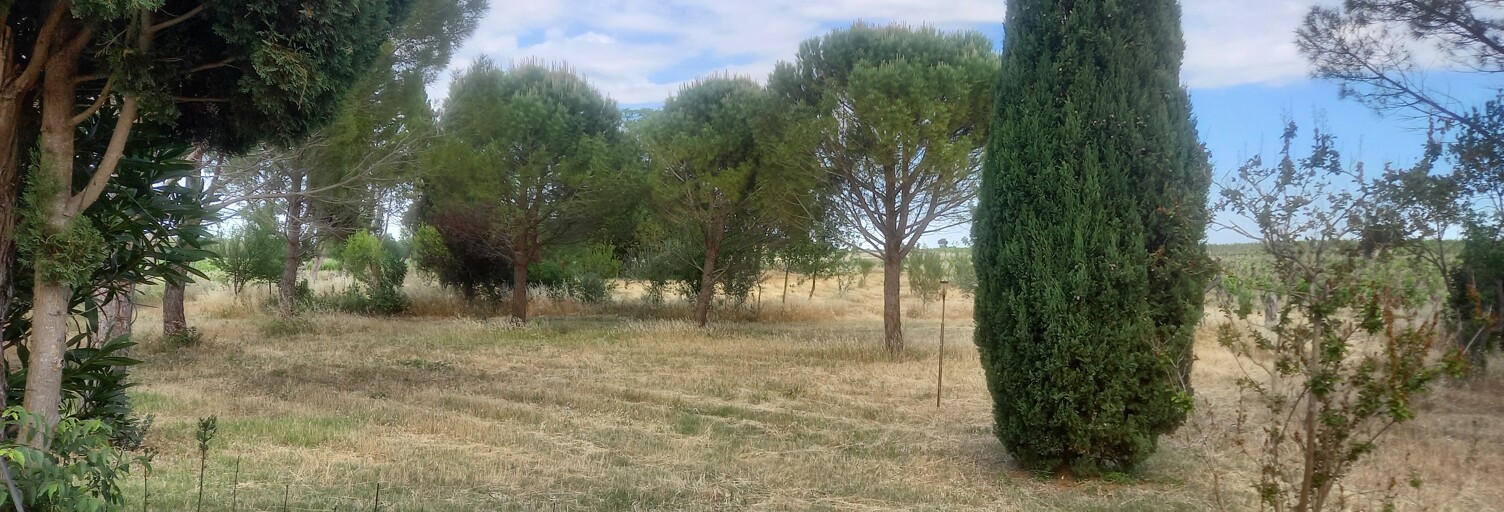 Maison  260000 m² à vendre à Lézignan-Corbières (11200)