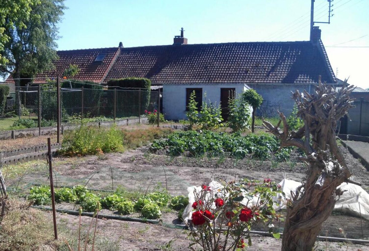 Terrain à bâtir — photo 1