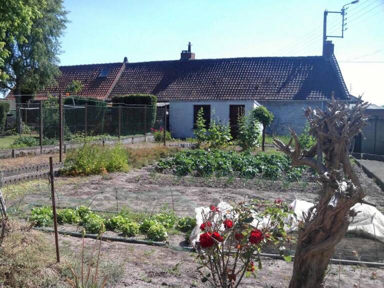 Terrain à bâtir — photo 1