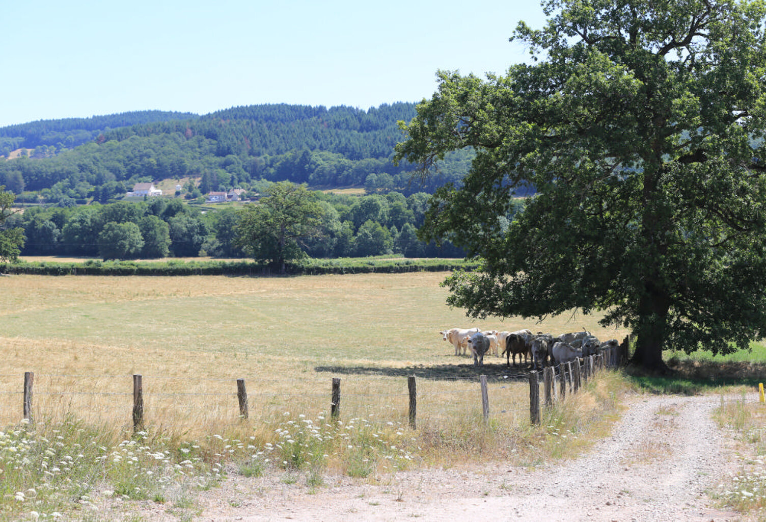 Terrain constructible à vendre avec vue sur la campagne environnante — photo 1