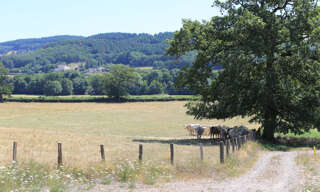 Terrain  446 m² à vendre à Sommant (71540)