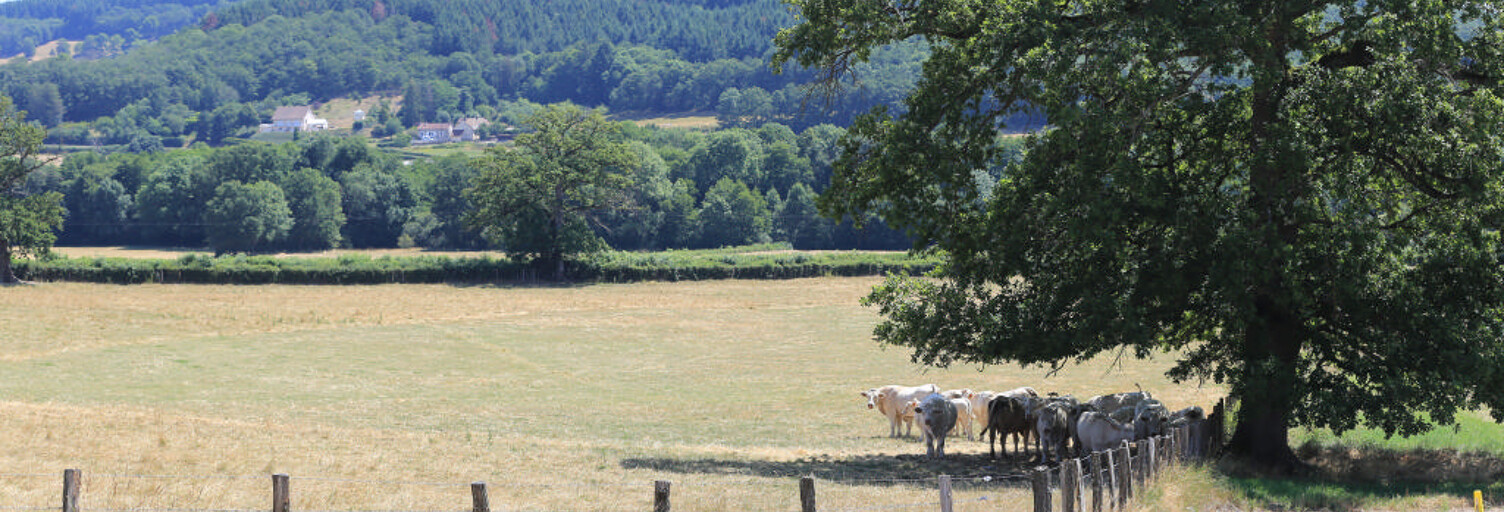 Terrain  446 m² à vendre à Sommant (71540)