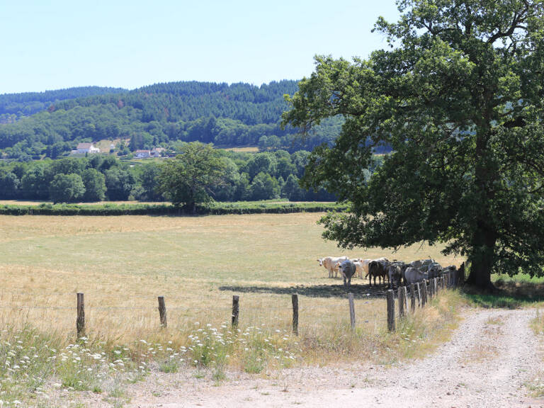 Terrain constructible à vendre avec vue sur la campagne environnante — photo 1