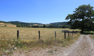 Photo N° 5