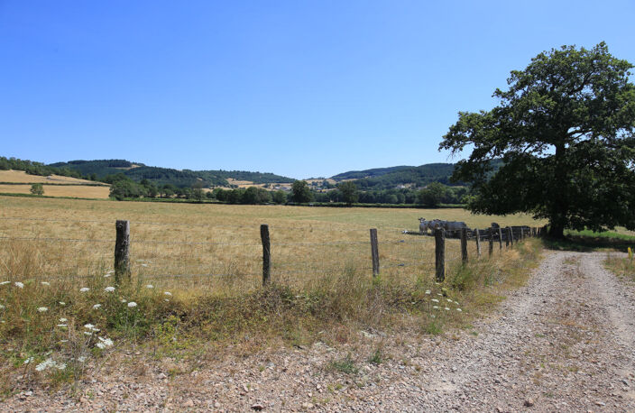 Terrain constructible à vendre avec vue sur la campagne environnante — photo 5