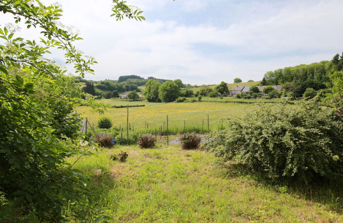 Maison de campagne à vendre dans un hameau au coeur du parc du Morvan — photo 5
