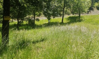 Photo N° 3