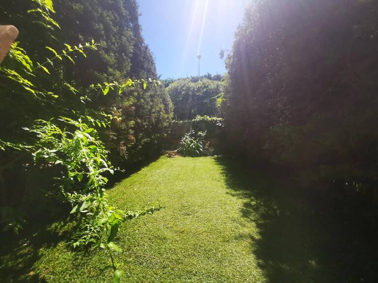 Studio 34 m²  + 35 m² jardin FABRON — photo 1
