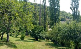 Photo N° 3