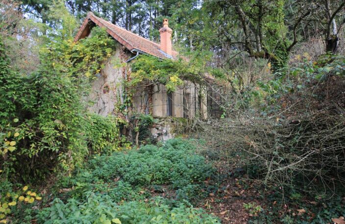 Maison réhabilitée à vendre en pleine nature sur 3 364 m² — photo 5