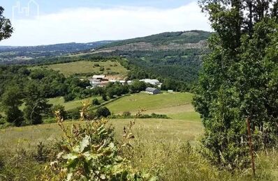 vente maison 1 090 000 € à proximité de Sévérac-d'Aveyron (12150)