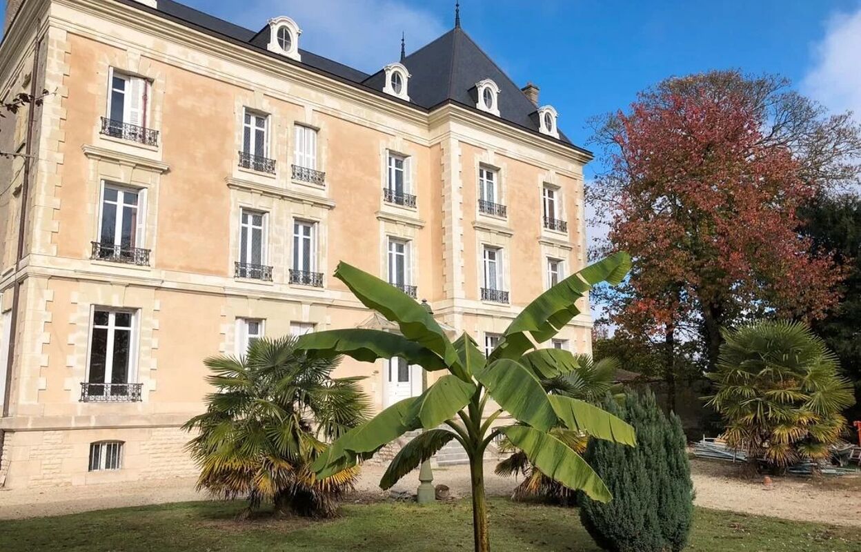 maison 15 pièces 558 m2 à vendre à Lerné (37500)