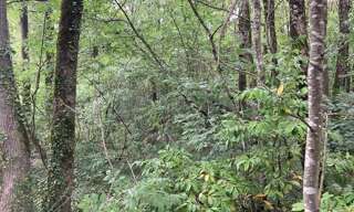 Terrain  1923 m² à vendre à Mignaloux-Beauvoir (86550)