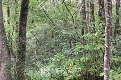 Terrain  159000 €