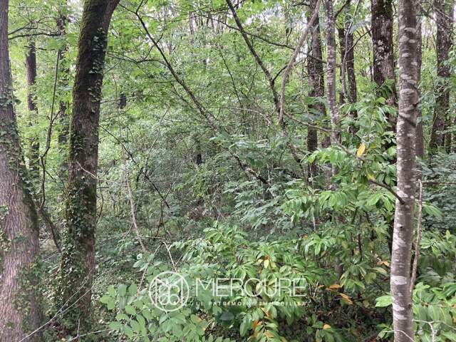 TERRAIN CONSTRUCTIBLE BOISÉ DE 1.923 M² — photo du bien