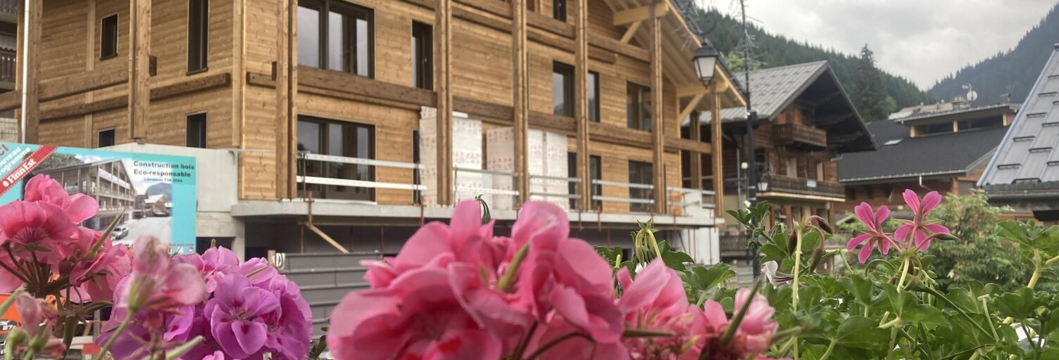 Appartement 3 Pièces 62 m² à vendre à Châtel (74390)