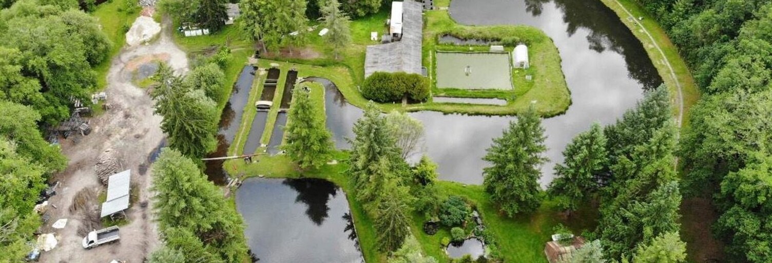 Maison 3 Pièces 50 m² à vendre à Le Palais-sur-Vienne (87410)