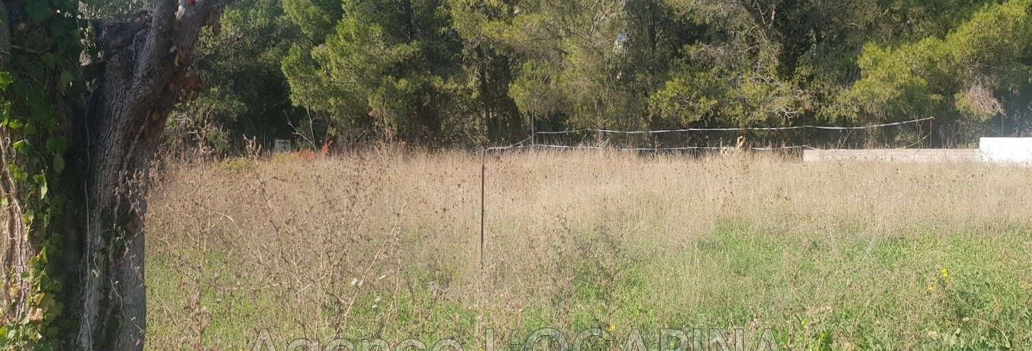 Terrain  1175 m² à vendre à Le Cannet (06110)