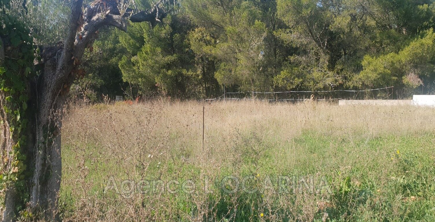 vente terrain — photo 1