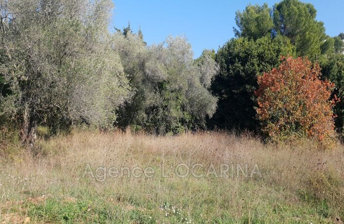 vente terrain — photo 2