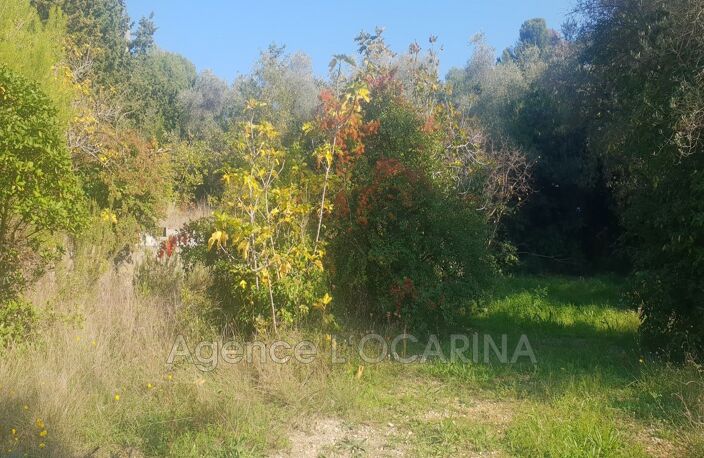 vente terrain — photo 4
