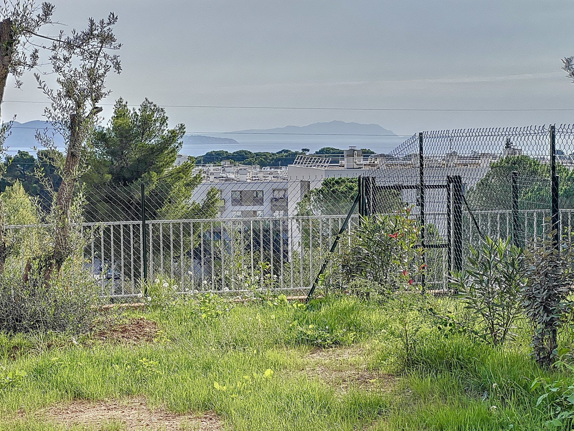 Agence immobilière de Sajatim