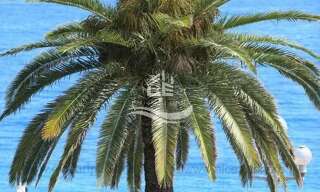 Appartement 4 Pièces 112 m² à vendre à Nice (06000)