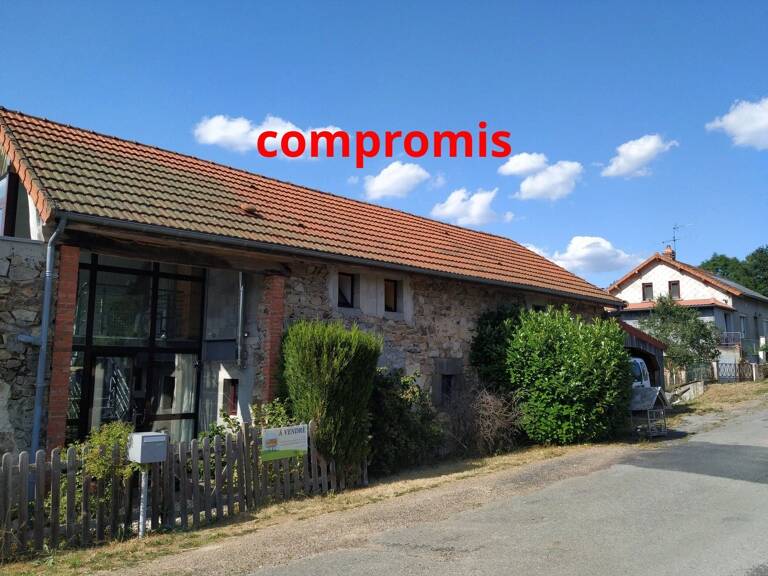 Maison à vendre en Auvergne avec dépendance et jardin — photo 1
