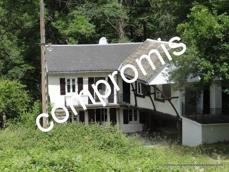 A vendre, Auvergne, ancien moulin à eau avec 4500m² de terrain. — photo 1