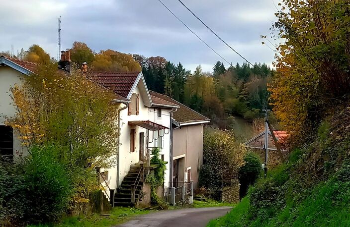Maison à rénover à vendre dans les Vosges. — photo 2