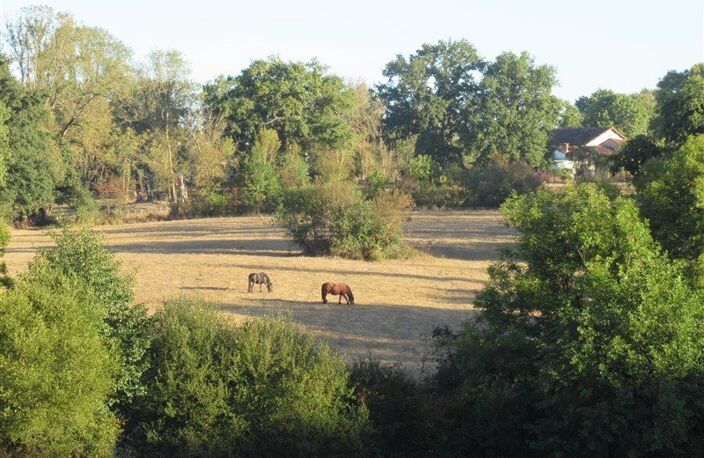 Propriété équestre à vendre près d'Adriers - Haute Vienne — photo 2
