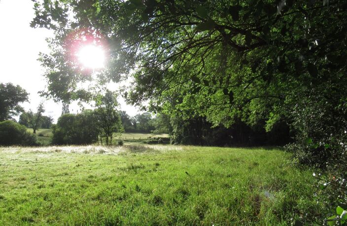 Propriété équestre à vendre près d'Adriers - Haute Vienne — photo 4
