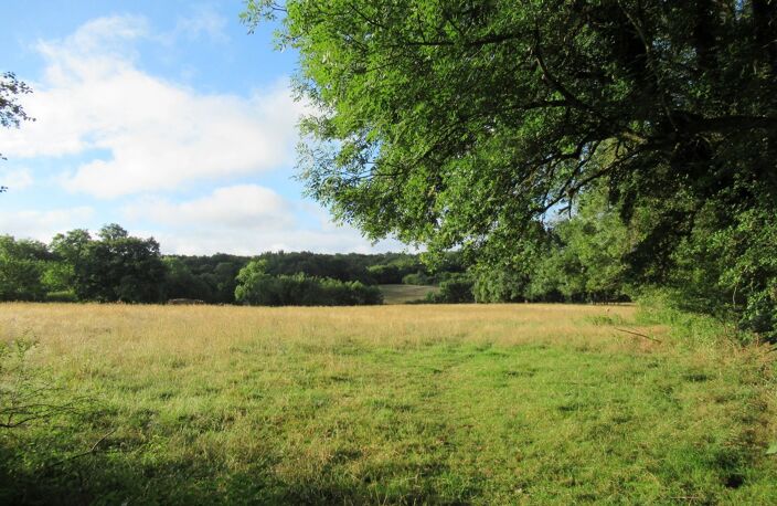 Propriété équestre à vendre près d'Adriers - Haute Vienne — photo 5