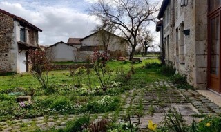 Photo N° 3