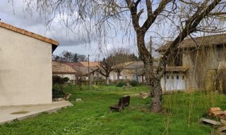 Photo N° 6