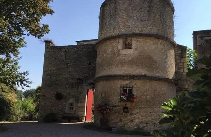 Ancien château avec gîte, piscine et tennis en Bourgogne — photo 5