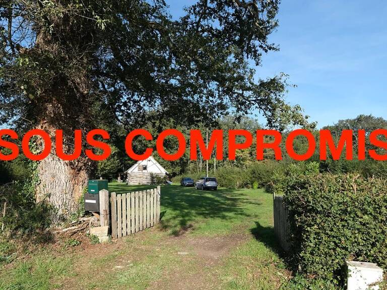 Jolie maison à vendre dans la Nièvre avec 1,2 ha de terrain — photo 1