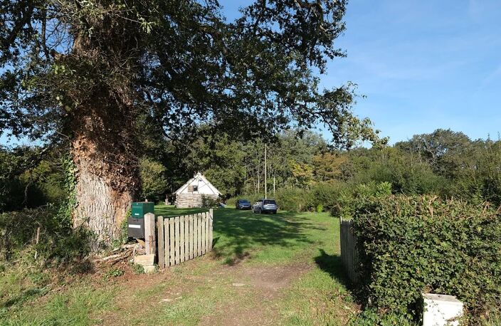 Jolie maison à vendre dans la Nièvre avec 1,2 ha de terrain — photo 2