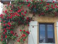 A vendre longère spacieuse avec grande grange en Bourgogne — photo 4